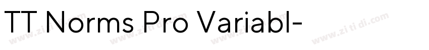 TT Norms Pro Variabl字体转换